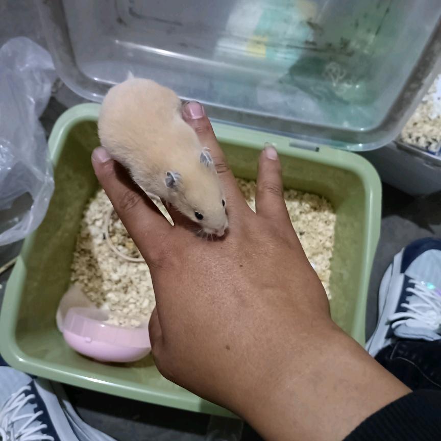 ☞塔行天下〥℃