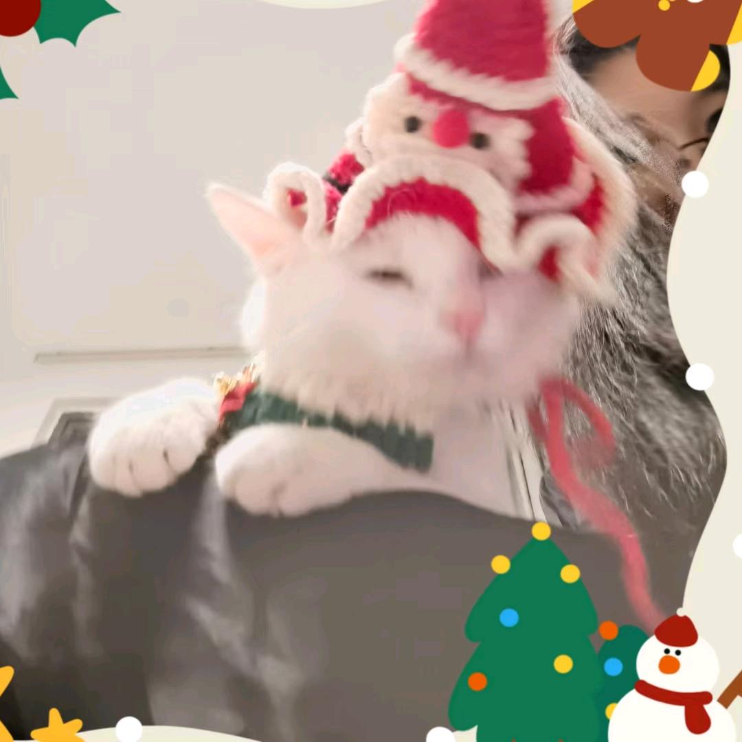想见你💕