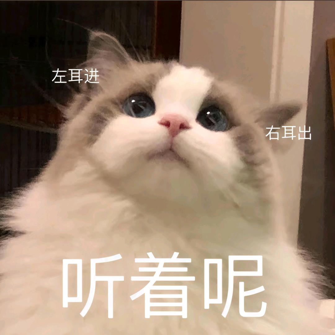 你的宝藏男孩小青柠