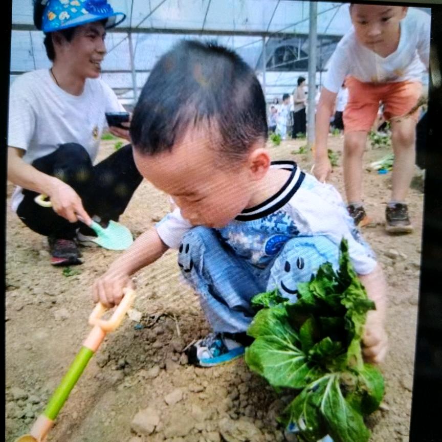 小宇