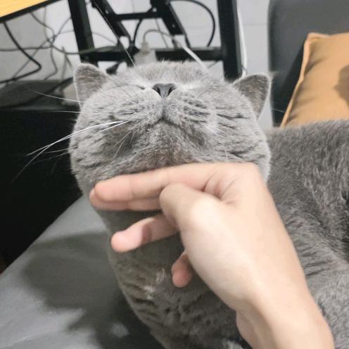 4527