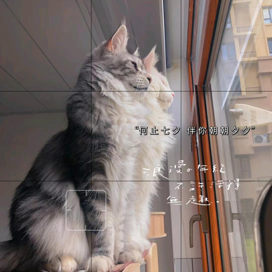 源满～