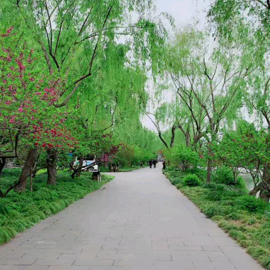 前程似锦