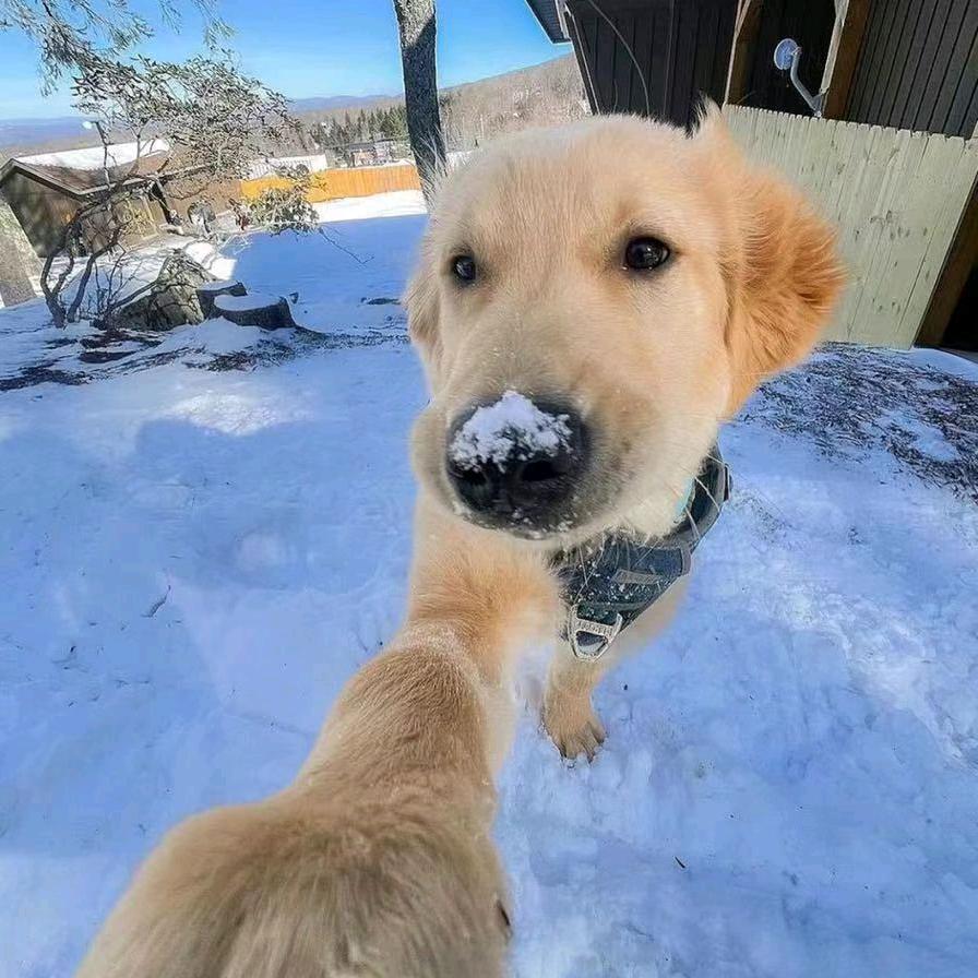 哈基帆𝑫𝑫.𝑾𝒆𝒊