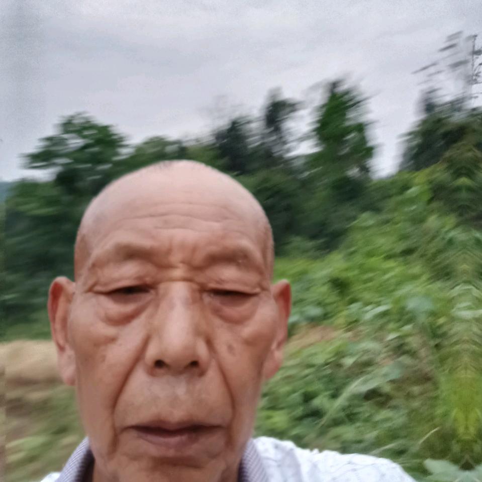 小pqpplQLl0/10q1p小小