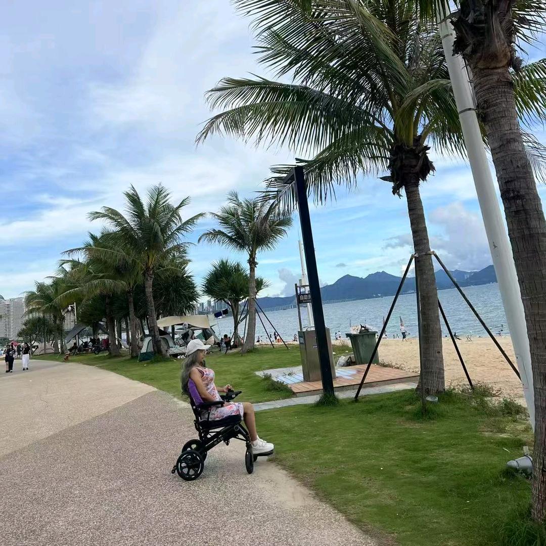 小海豹