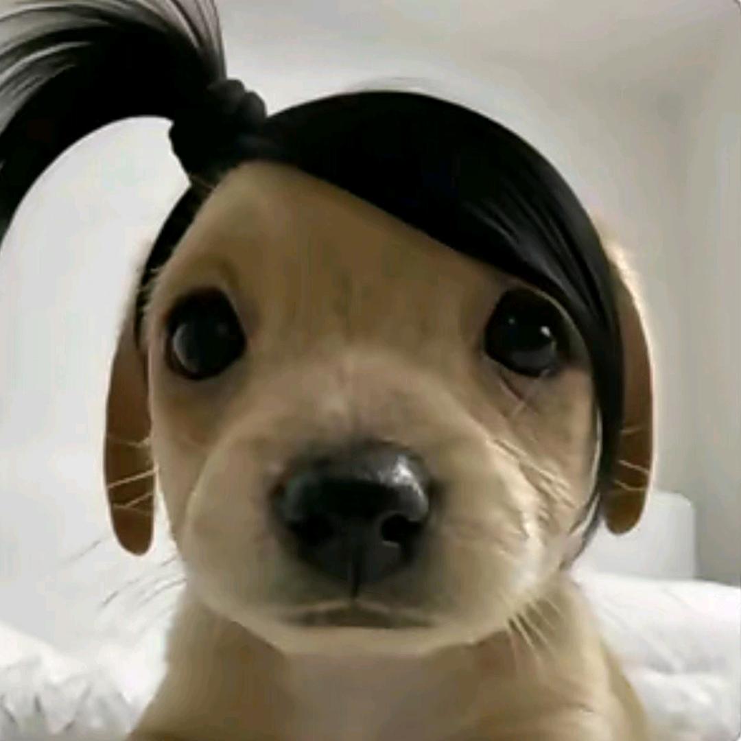 MnZn