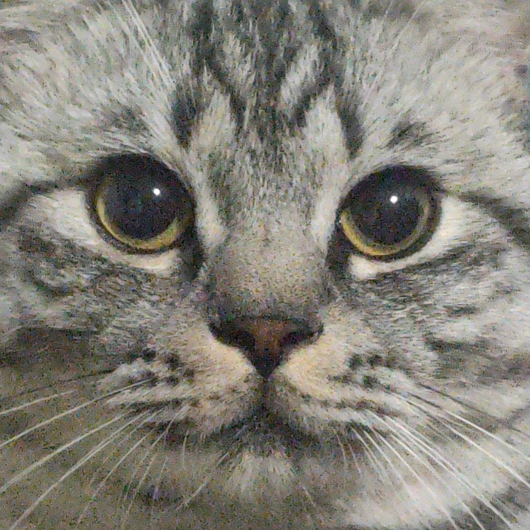 南