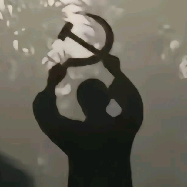 🌈吃菠菜的土拨鼠