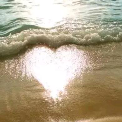 爱意落于❤️海