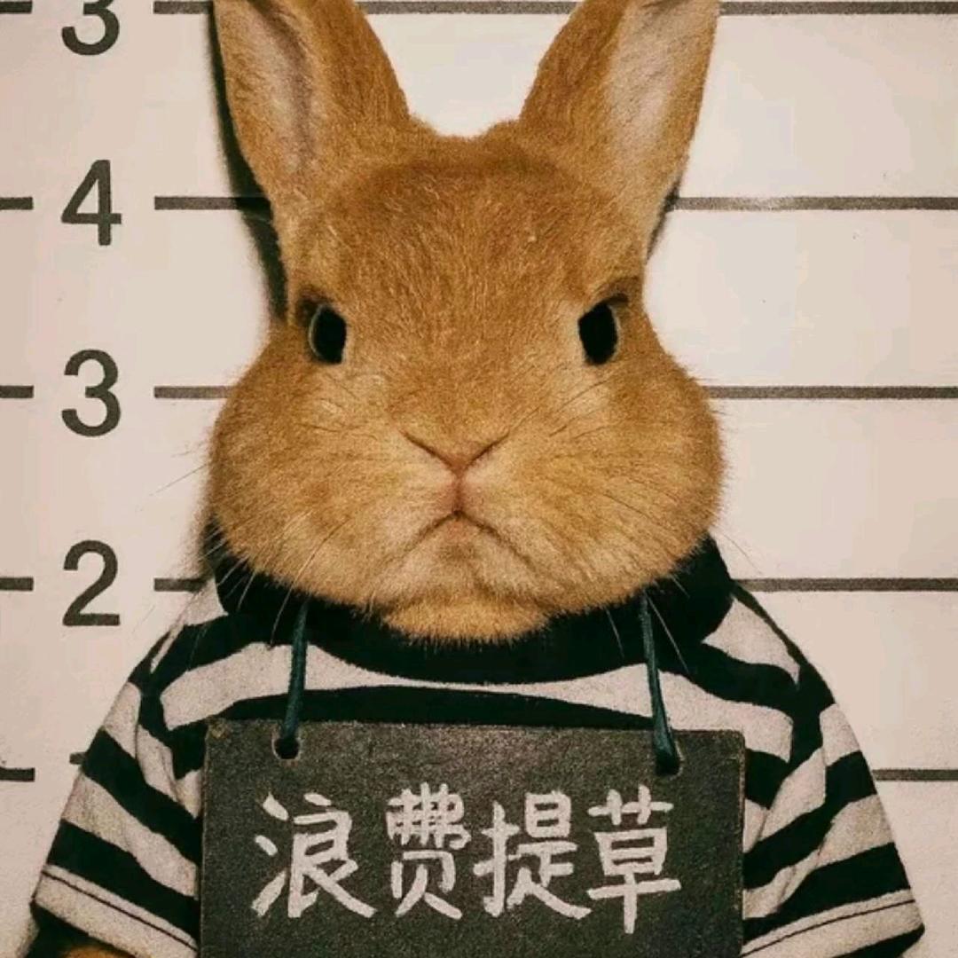 学习