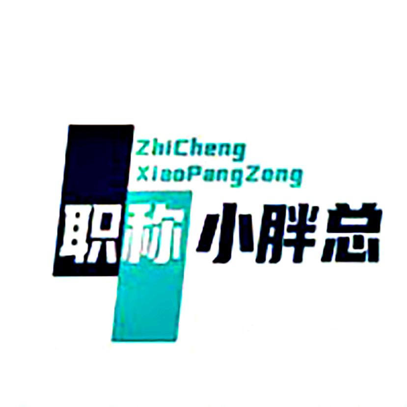 青岛工程师职称评定小胖总（助理2号）