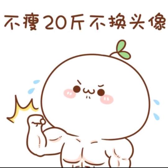 桀骜不逊505