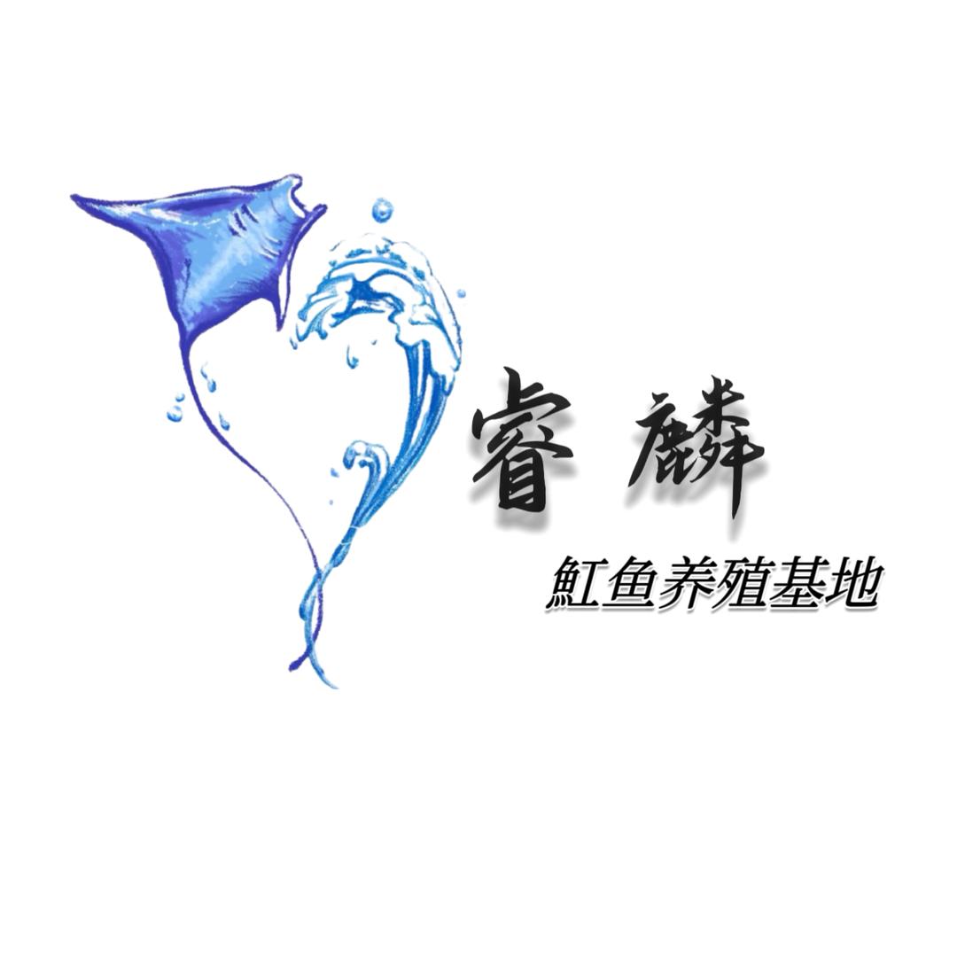天津睿麟魟鱼