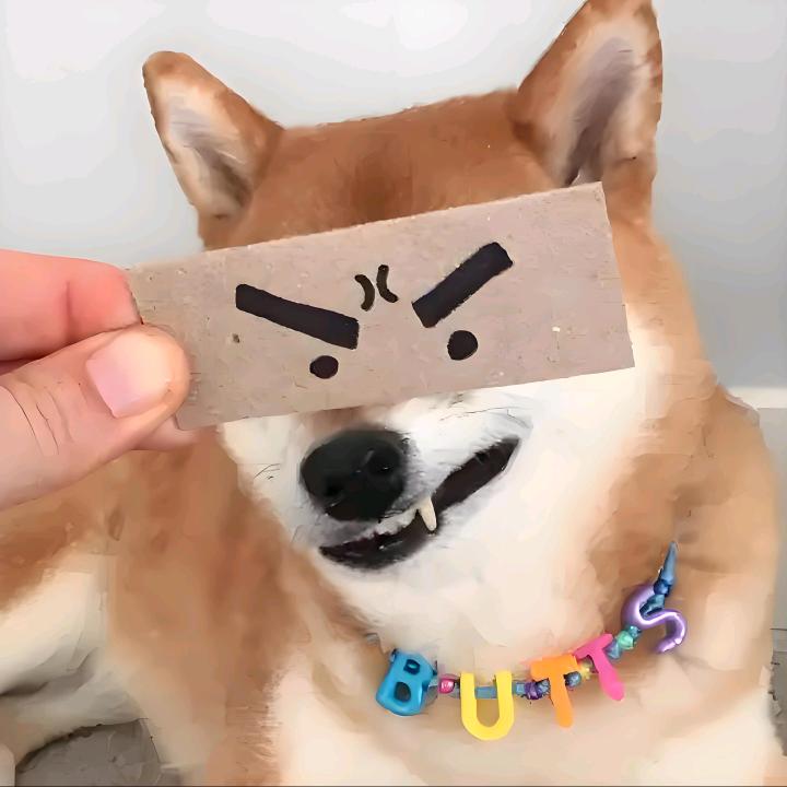 宝藏