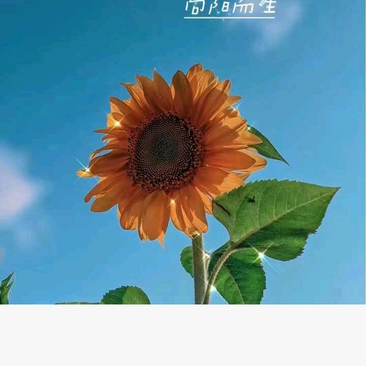 尹姐