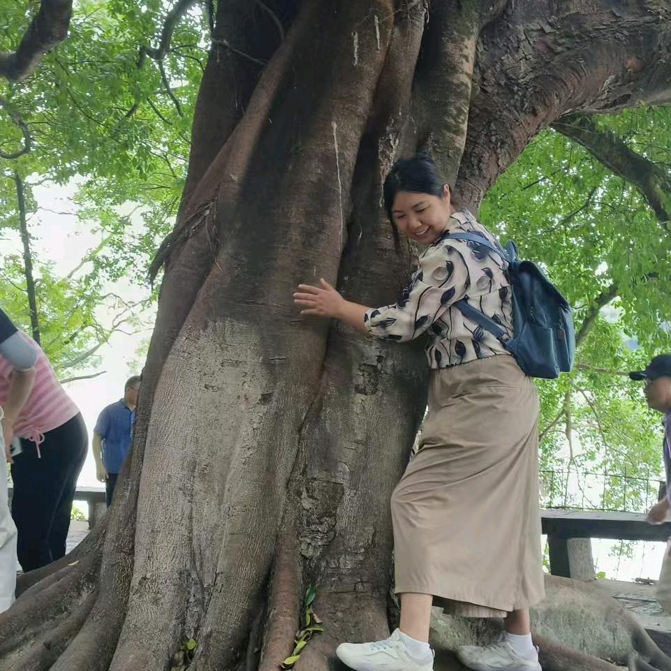 顺风顺水