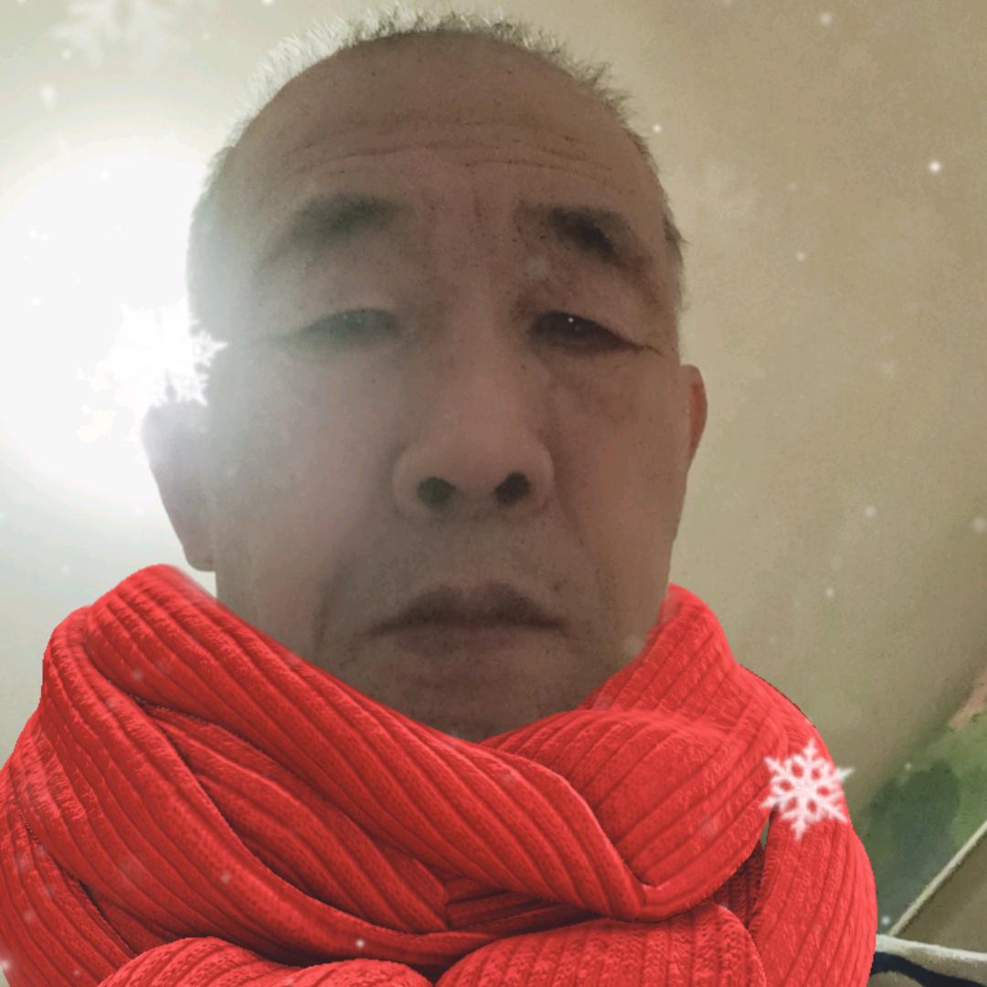 年轮轮轮