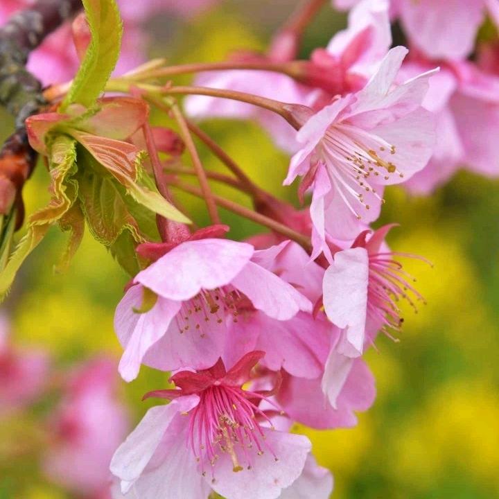 自己不坚强，谁来替你扛💪 