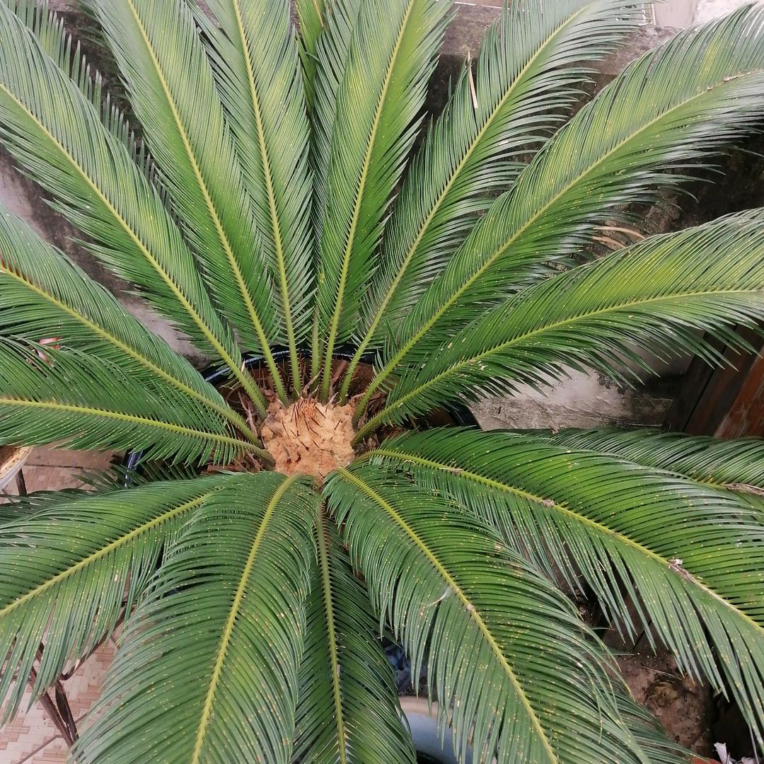 友哥好物分享