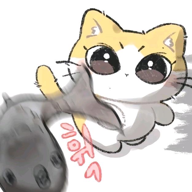 小猫会散打