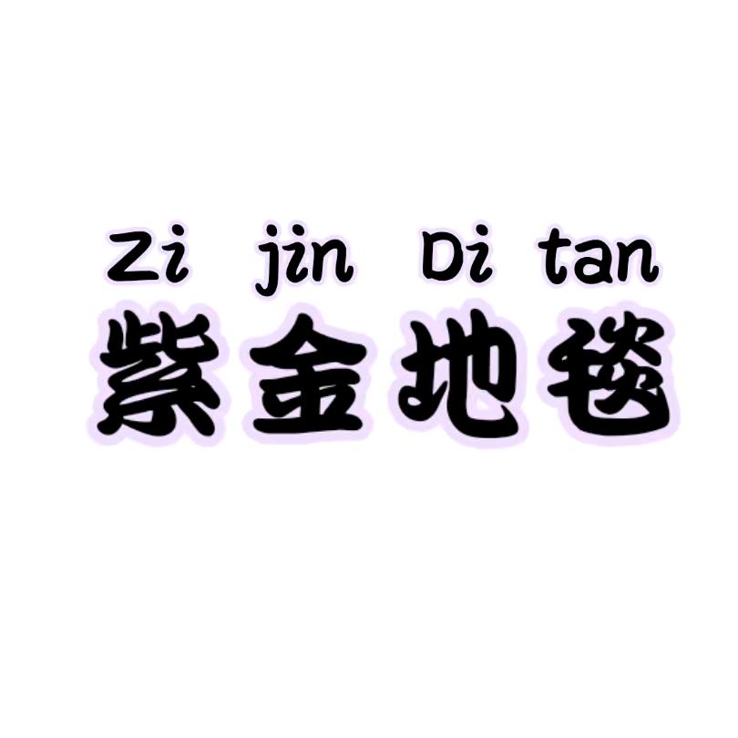 紫金家居地毯地垫
