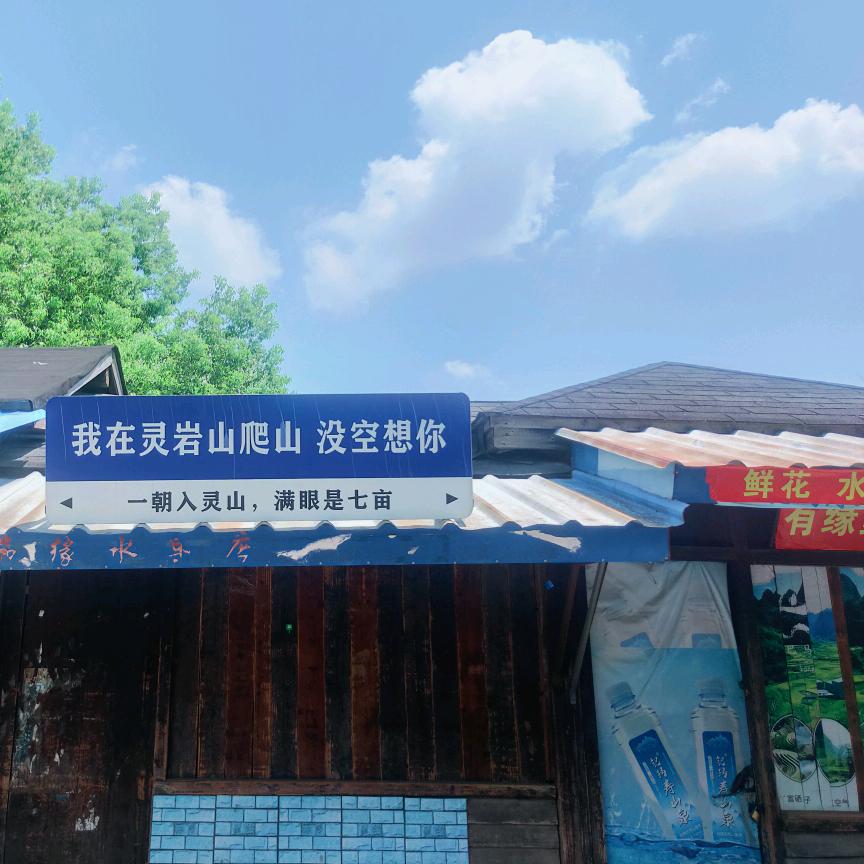 瓦乌紫