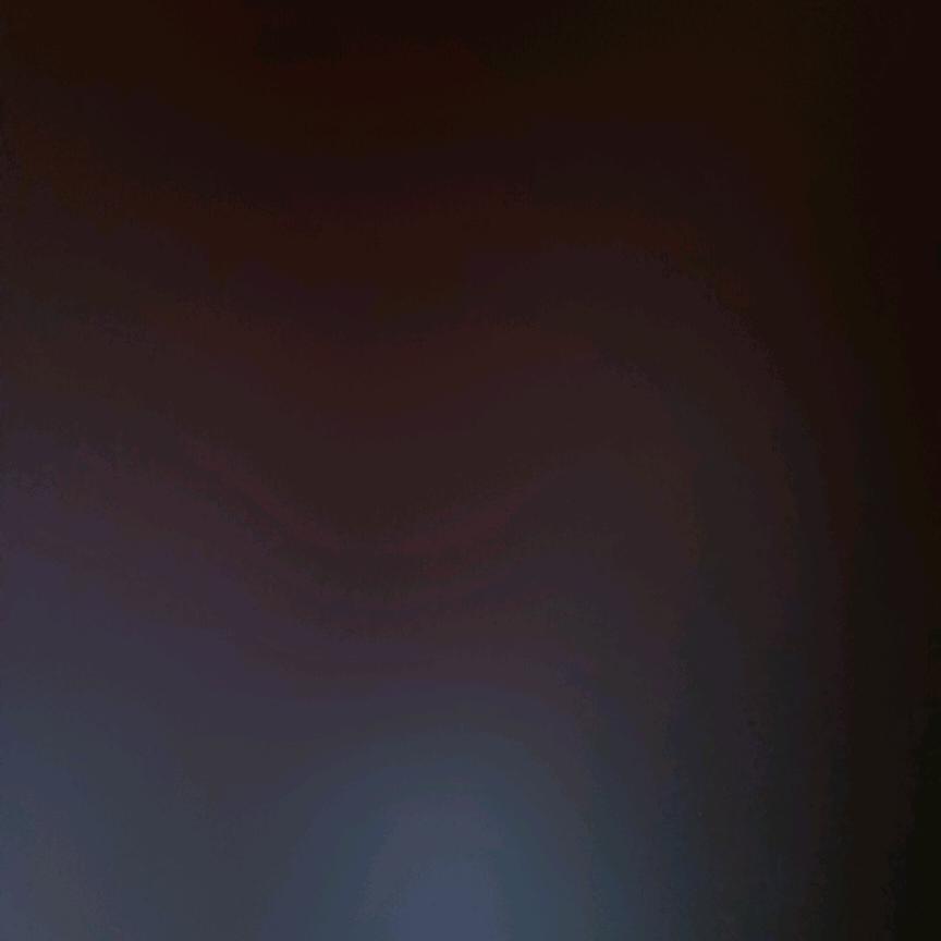 老应