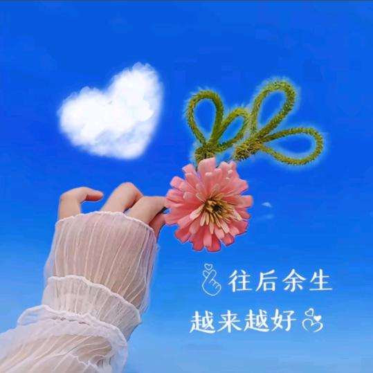 老文