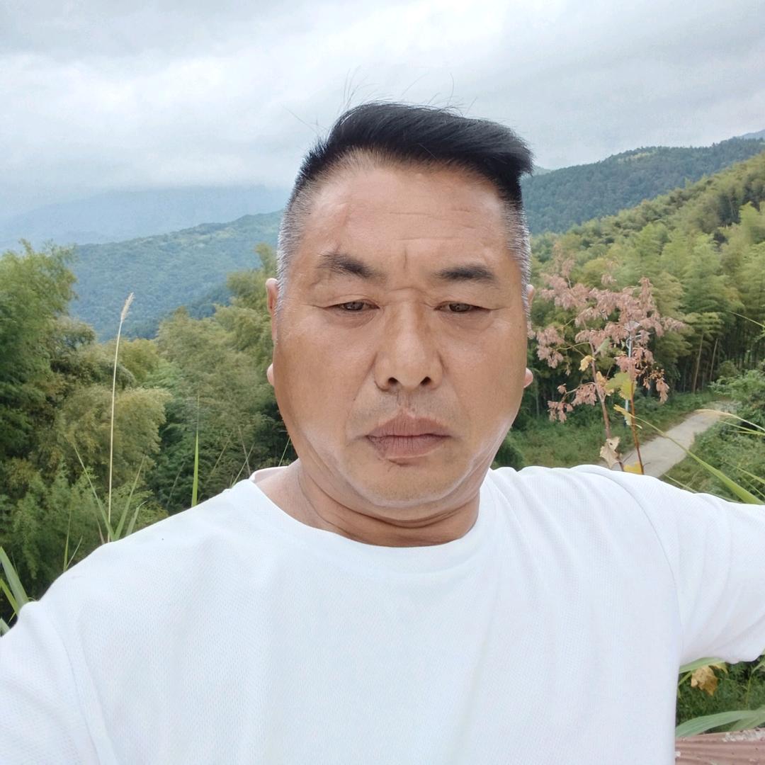 新能源光伏三哥