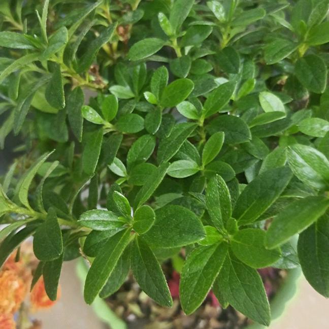 放下一切的缘份