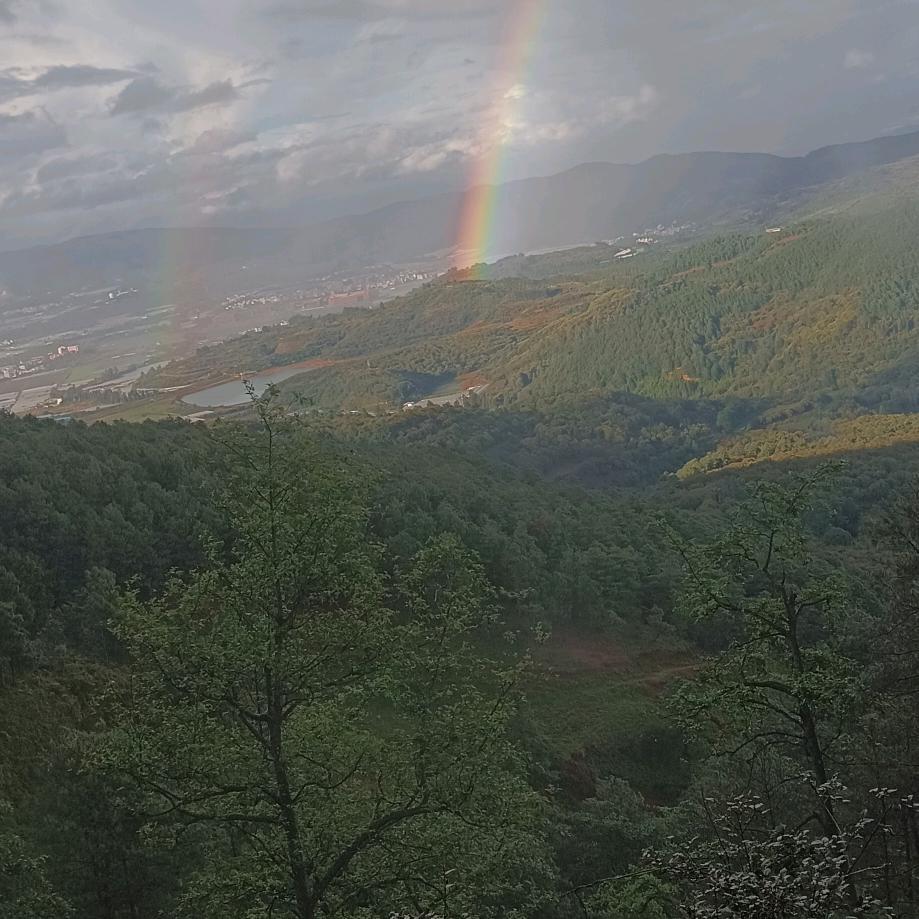 六姐好物。晚上8:50开播。