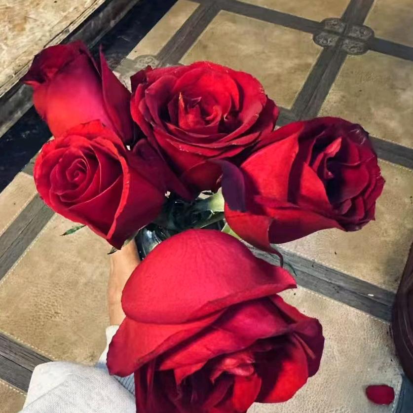 ᕙ💖ʕ余✪生ᴥ爱✪自ʔ己ᕗ