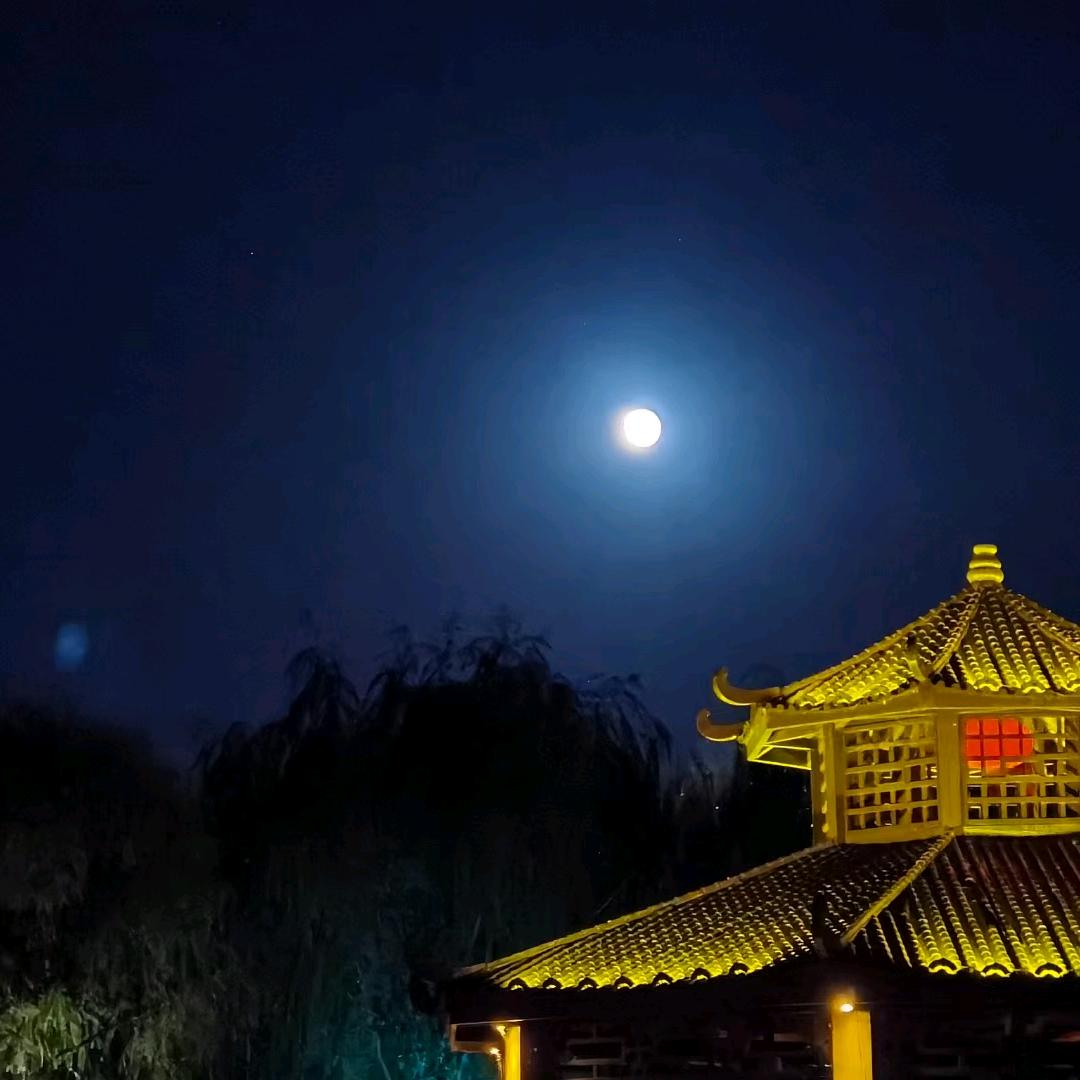 清风徐来2157