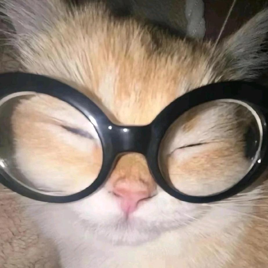 邪恶Kitty