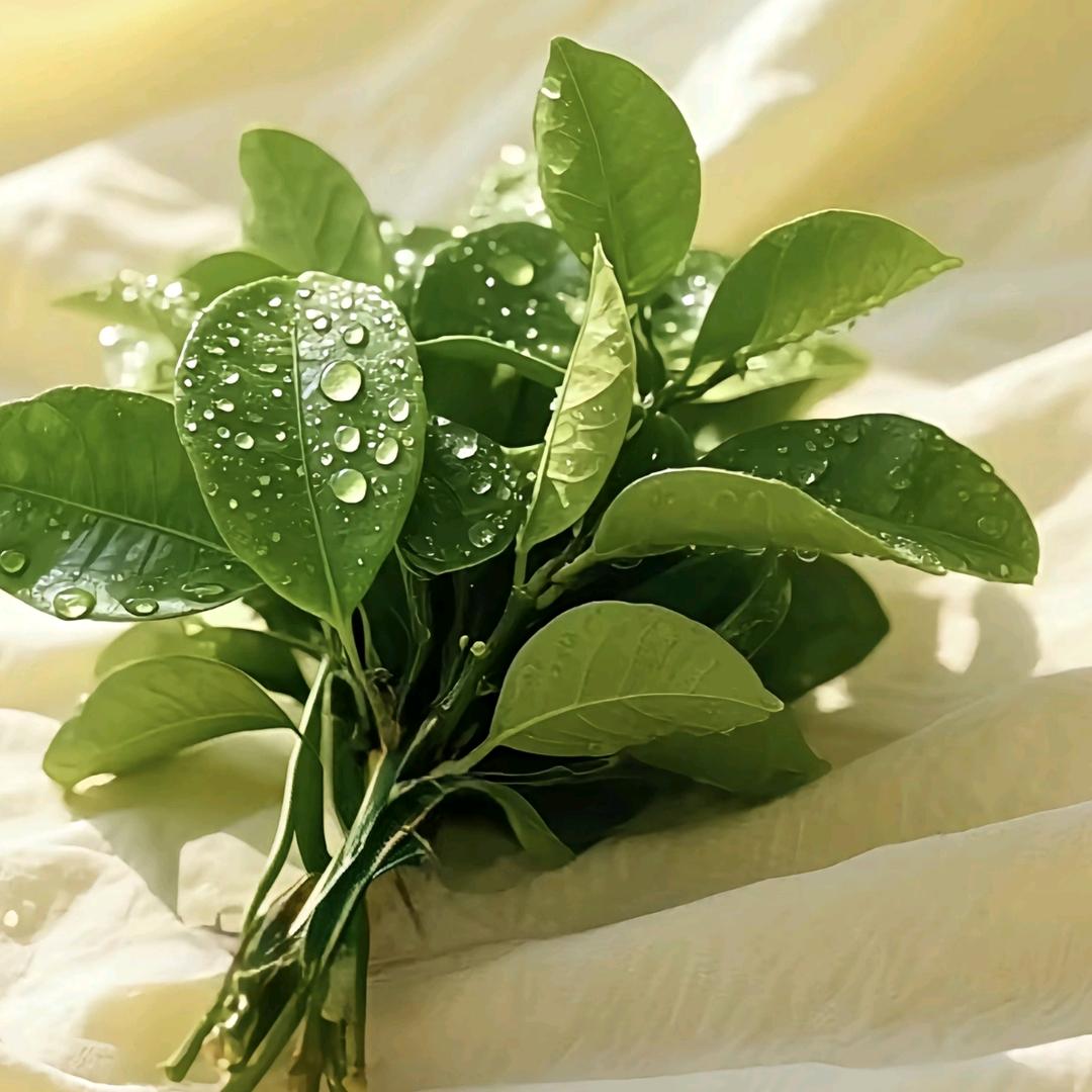 大拇指烘焙坊--艳子