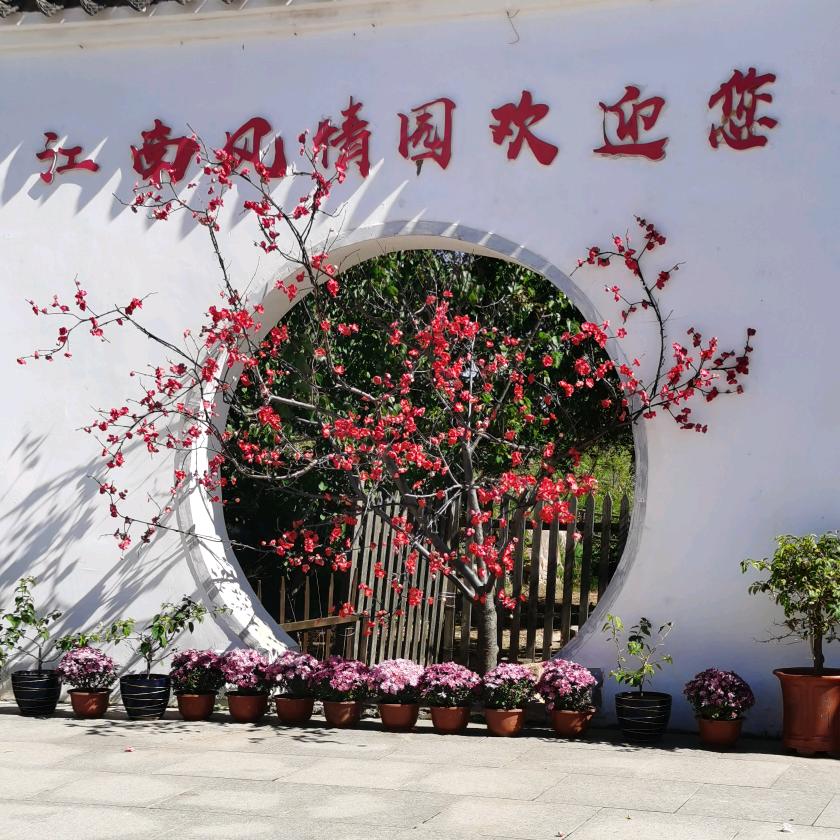 @是芳姐呀