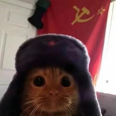 本色