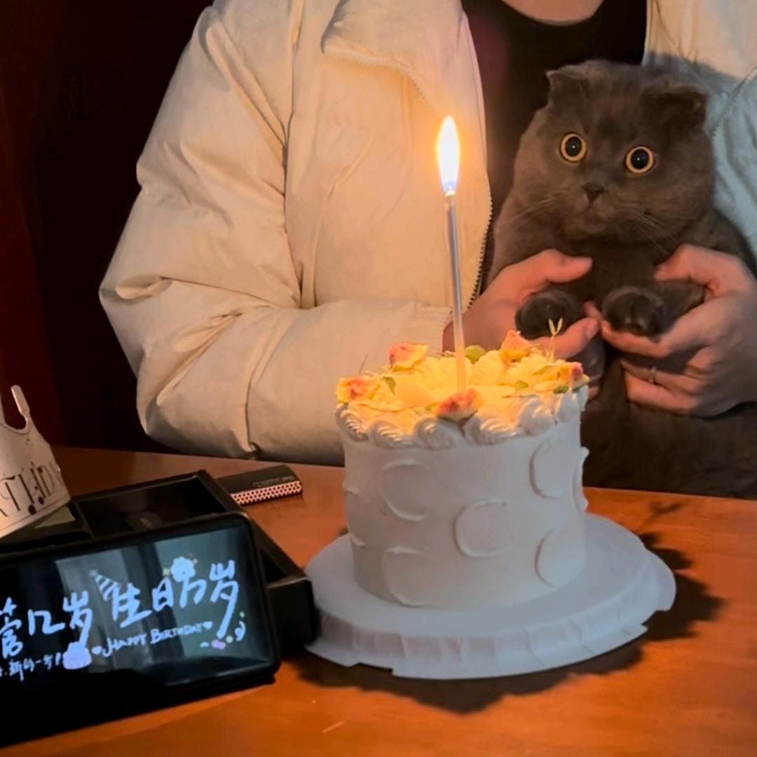 王.猛