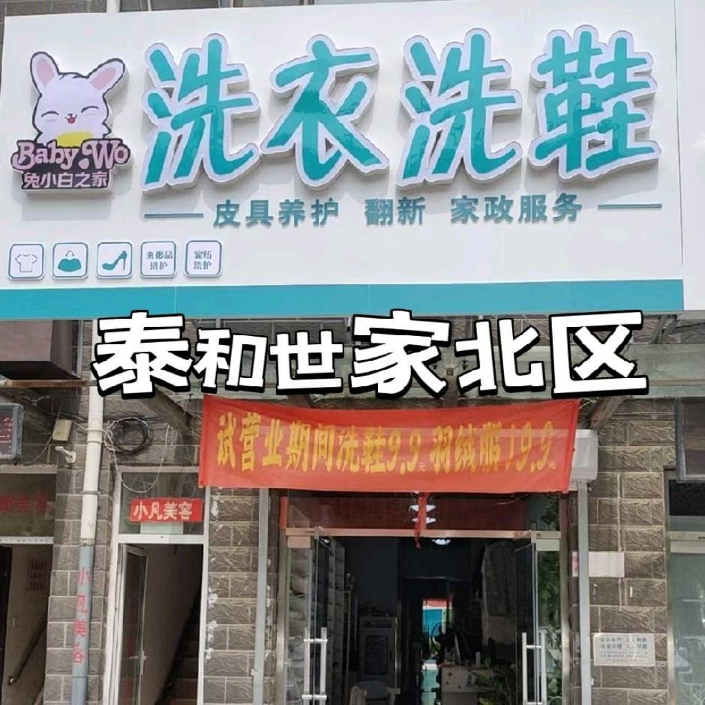 泰和世家兔小白洗衣洗鞋