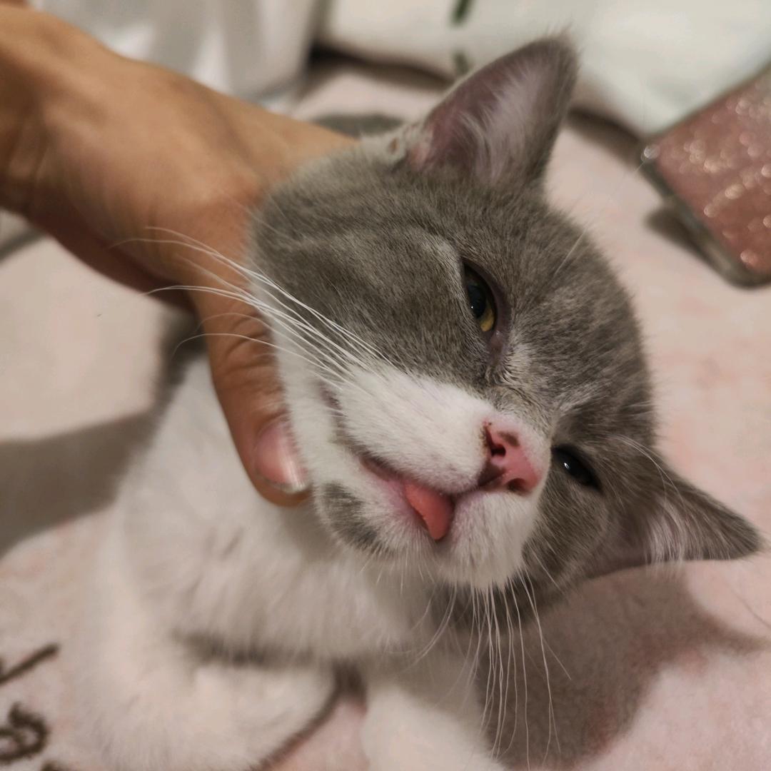 戀