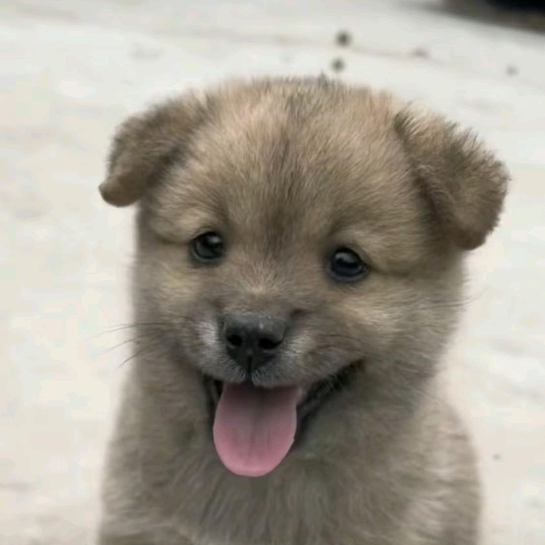 孟丽丽