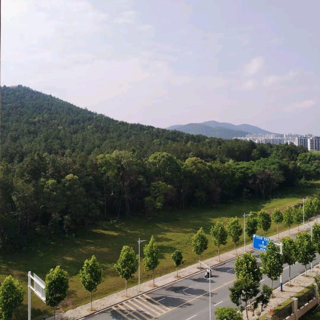 格局