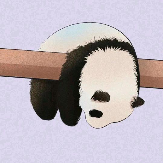 江云归（戒赌版）