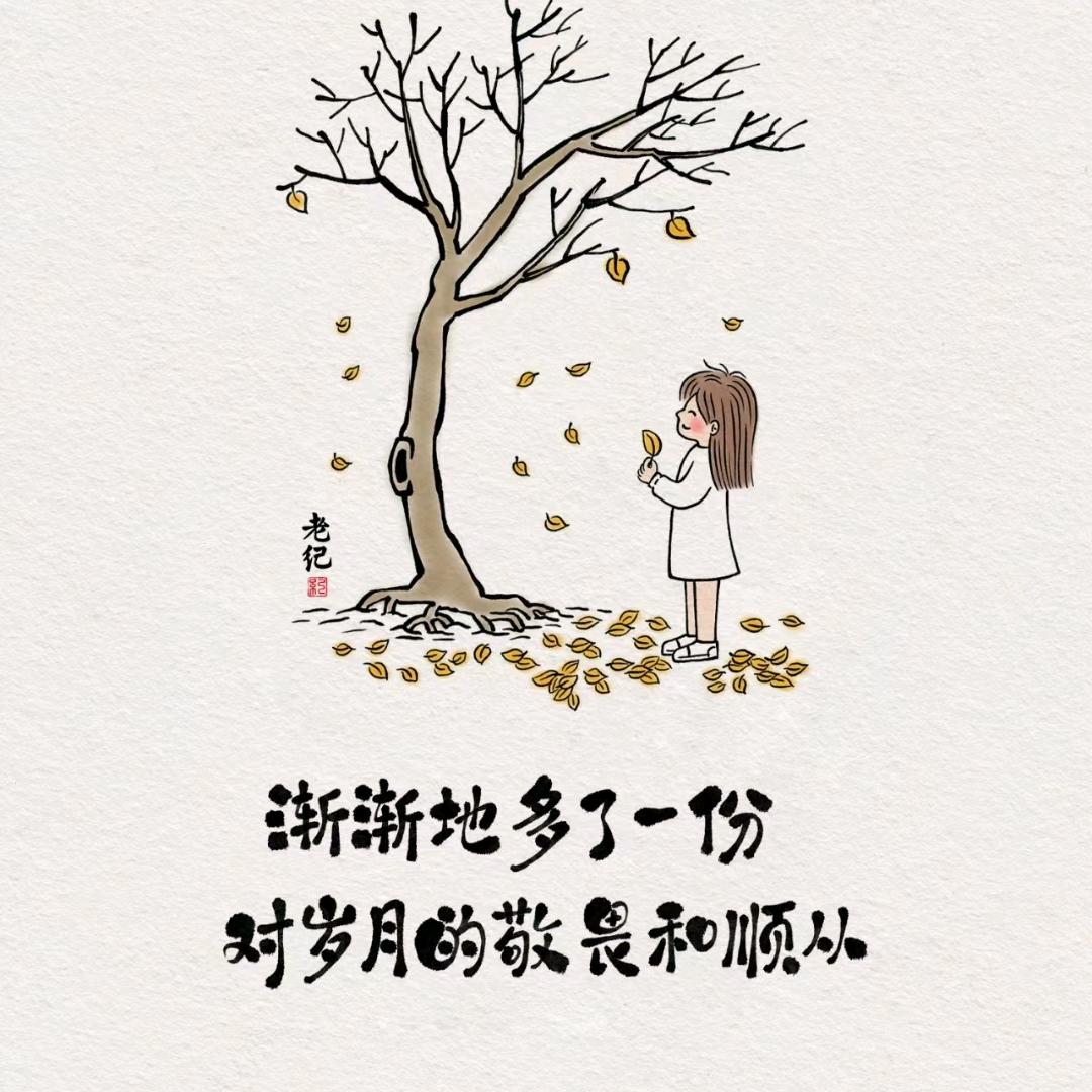 猫哥