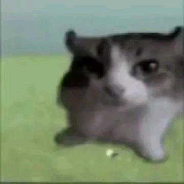 黄色泡泡水