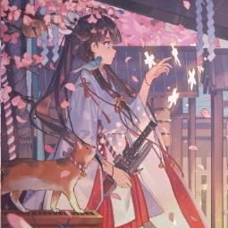 青笺画倾颜