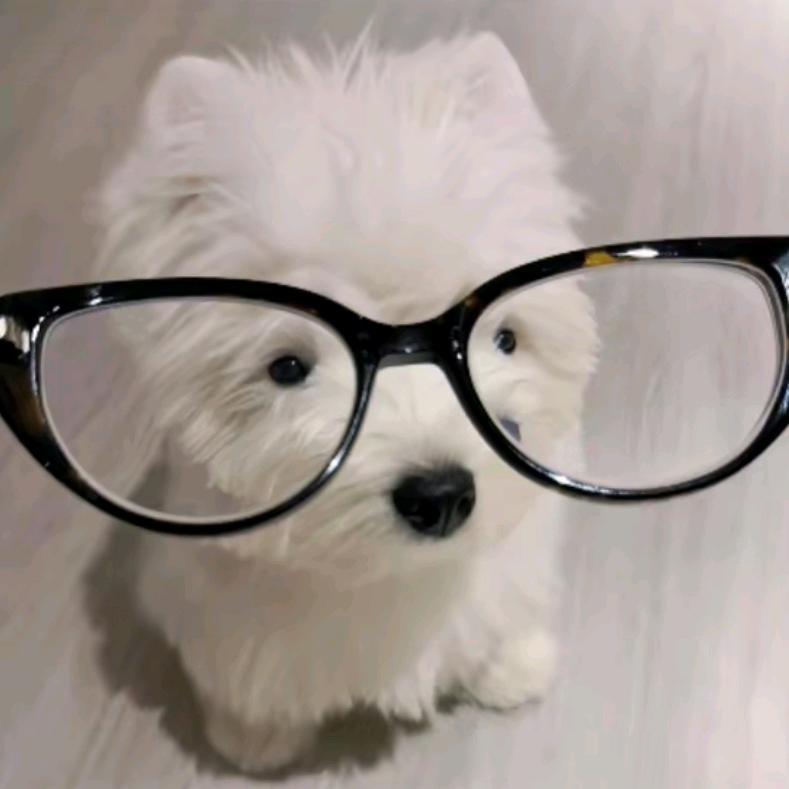 你是饭饭我是谁