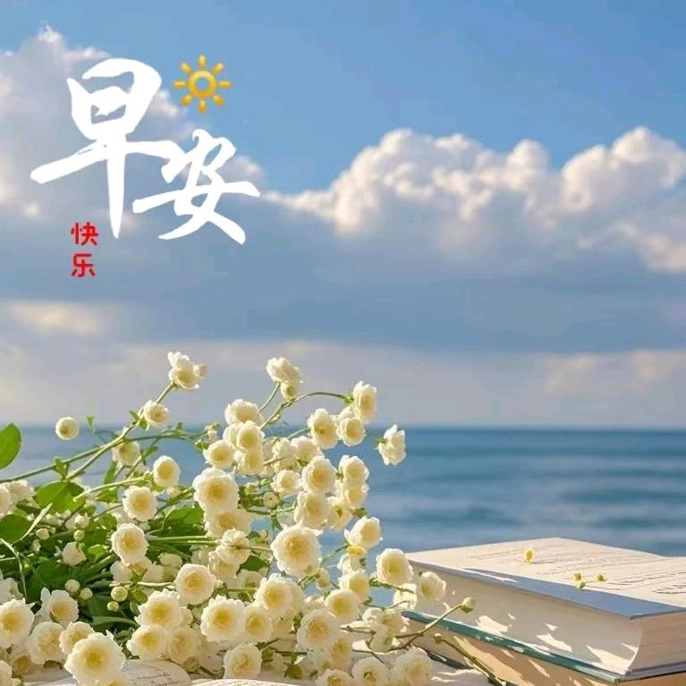 茌平刘老大杂粮煎饼烤冷面