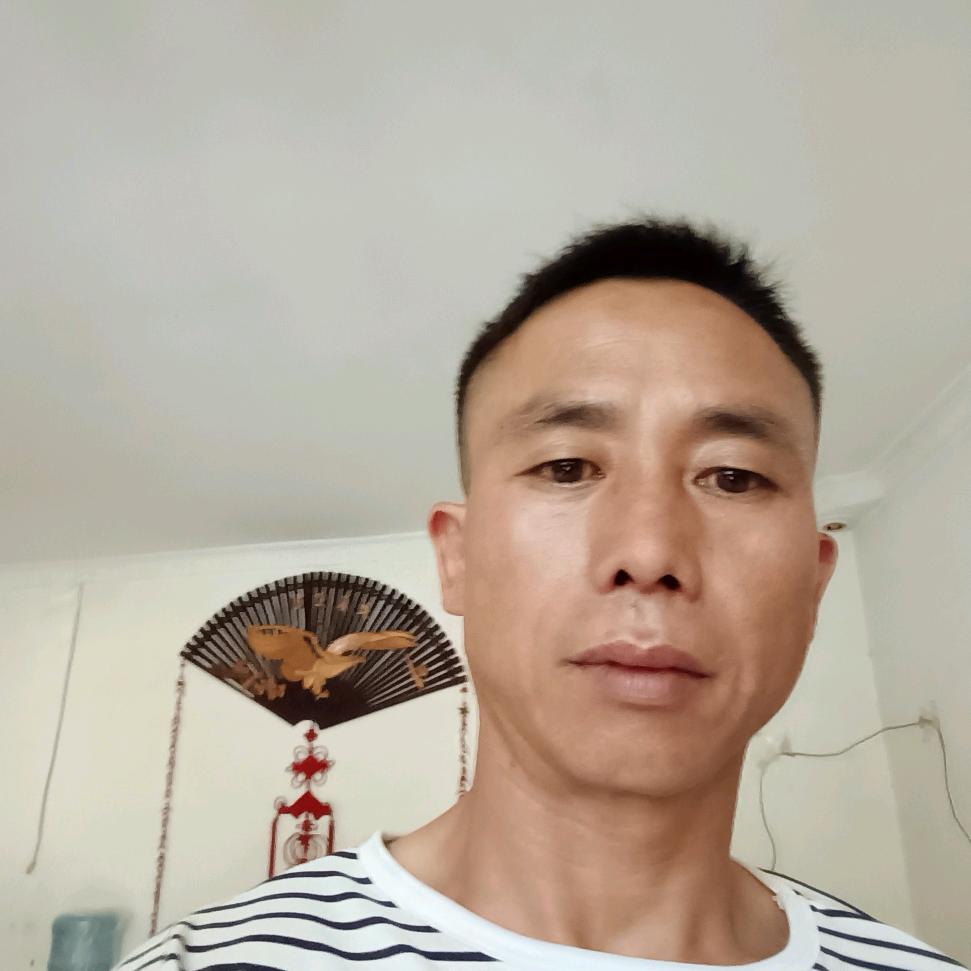 🐀废旧回收文